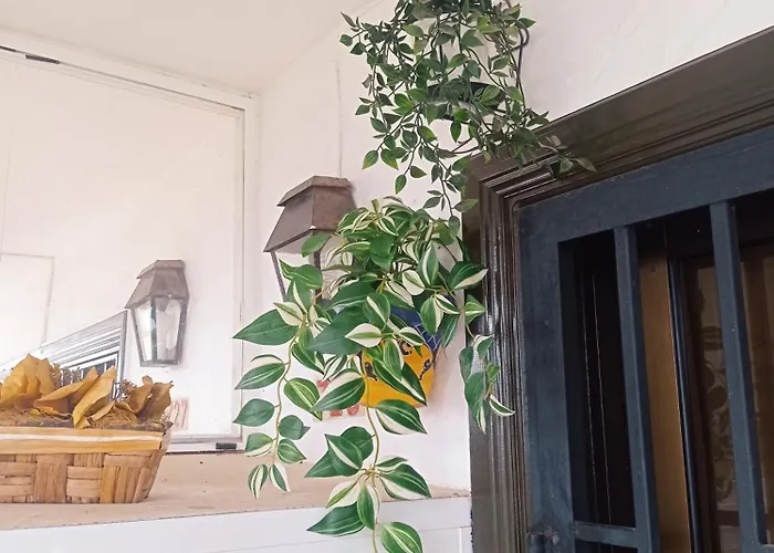 Summer Dreams Tenerife Apartmán