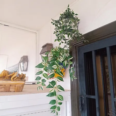 Summer Dreams Tenerife Appartement